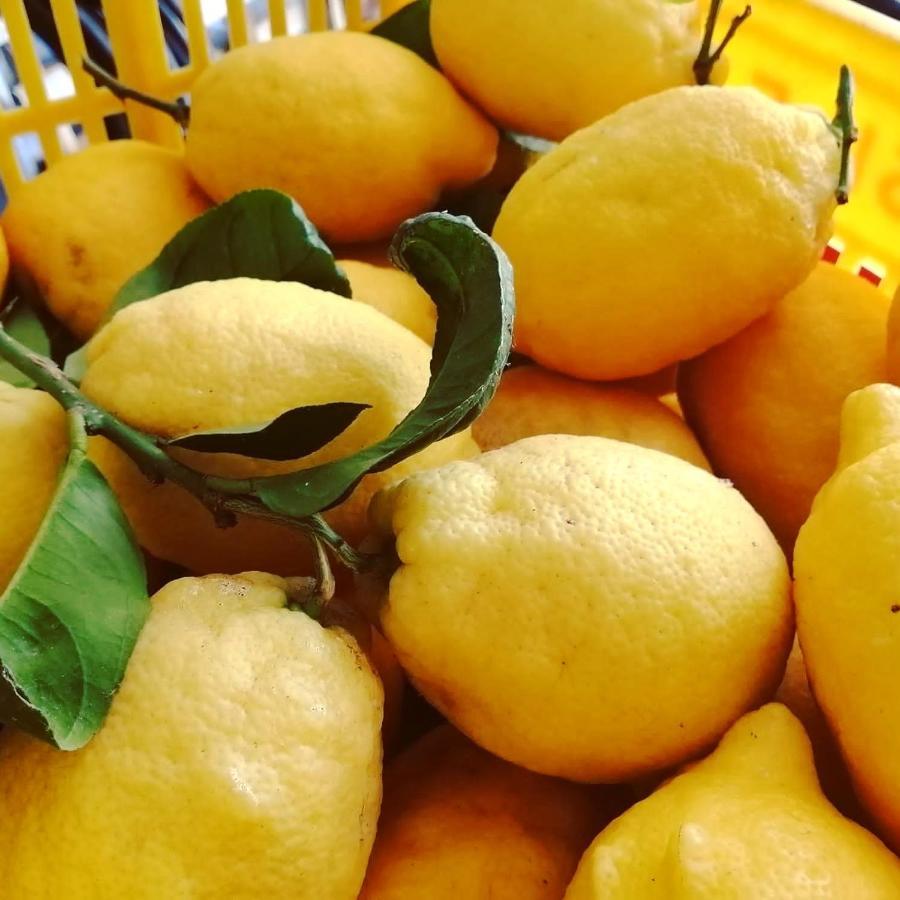 La Roccia Incantata Amalfi Coast Vietri Εξωτερικό φωτογραφία