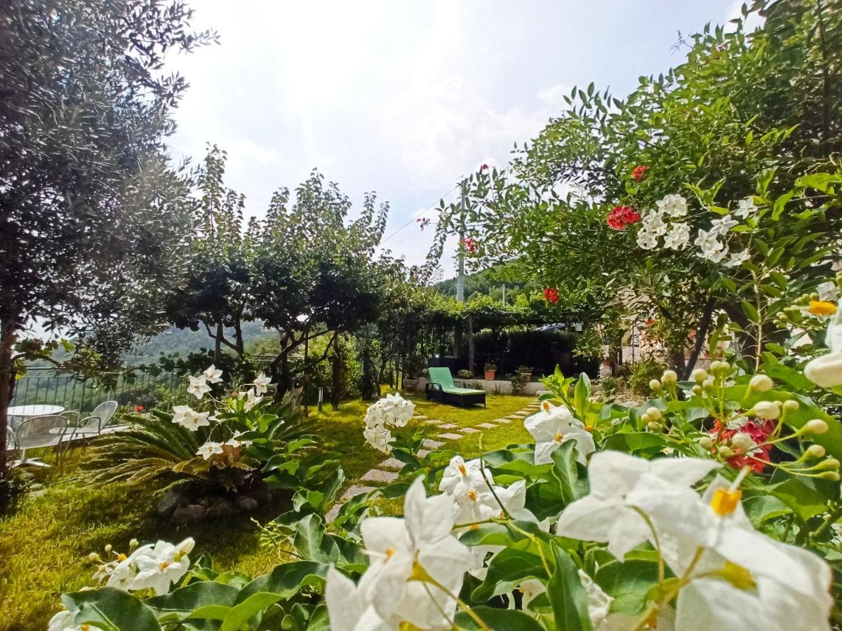 La Roccia Incantata Amalfi Coast Vietri Εξωτερικό φωτογραφία