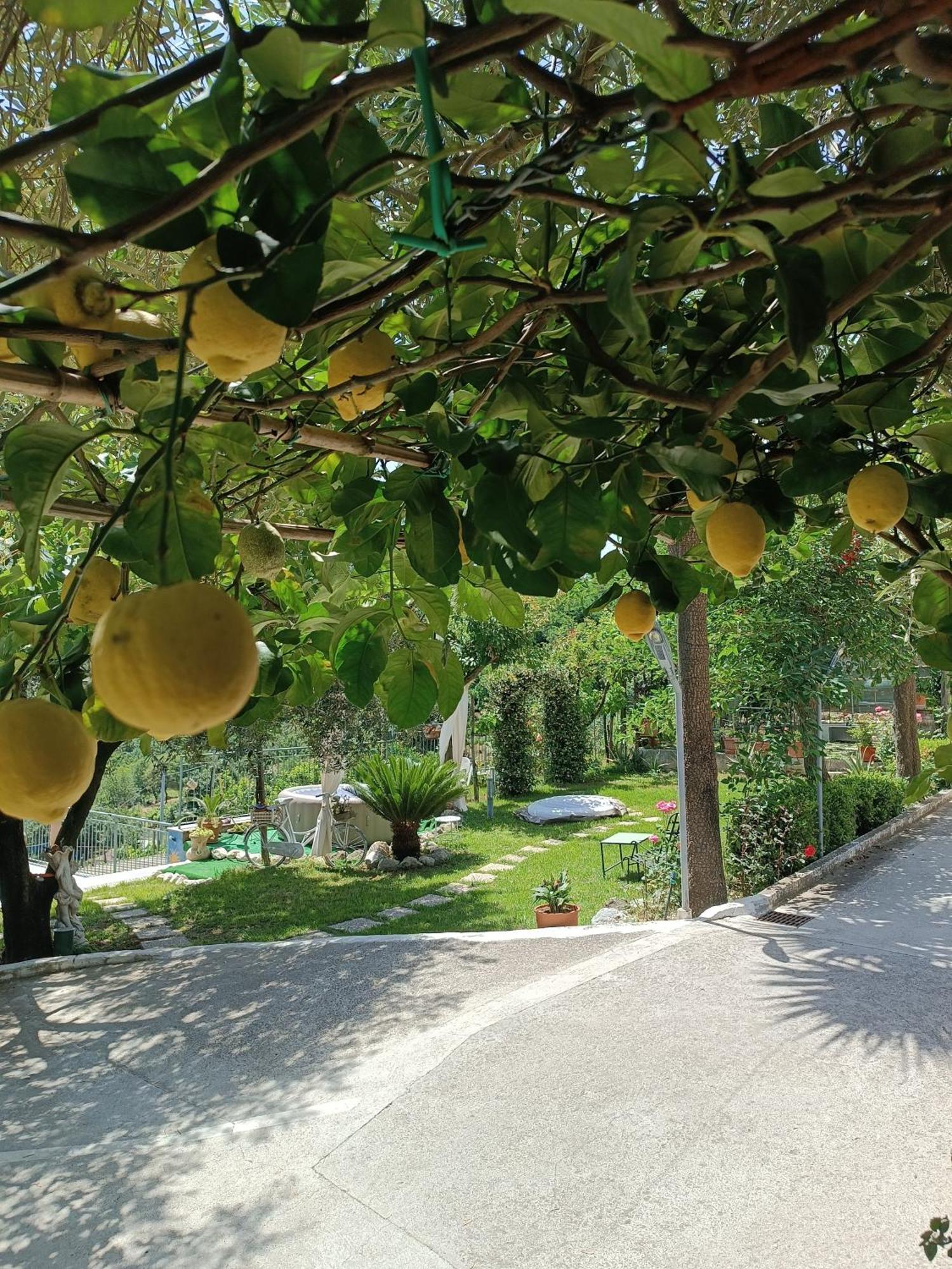 La Roccia Incantata Amalfi Coast Vietri Εξωτερικό φωτογραφία